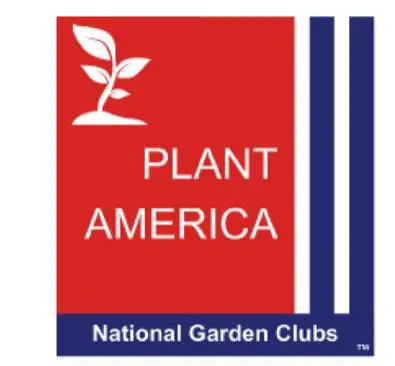 Plant America